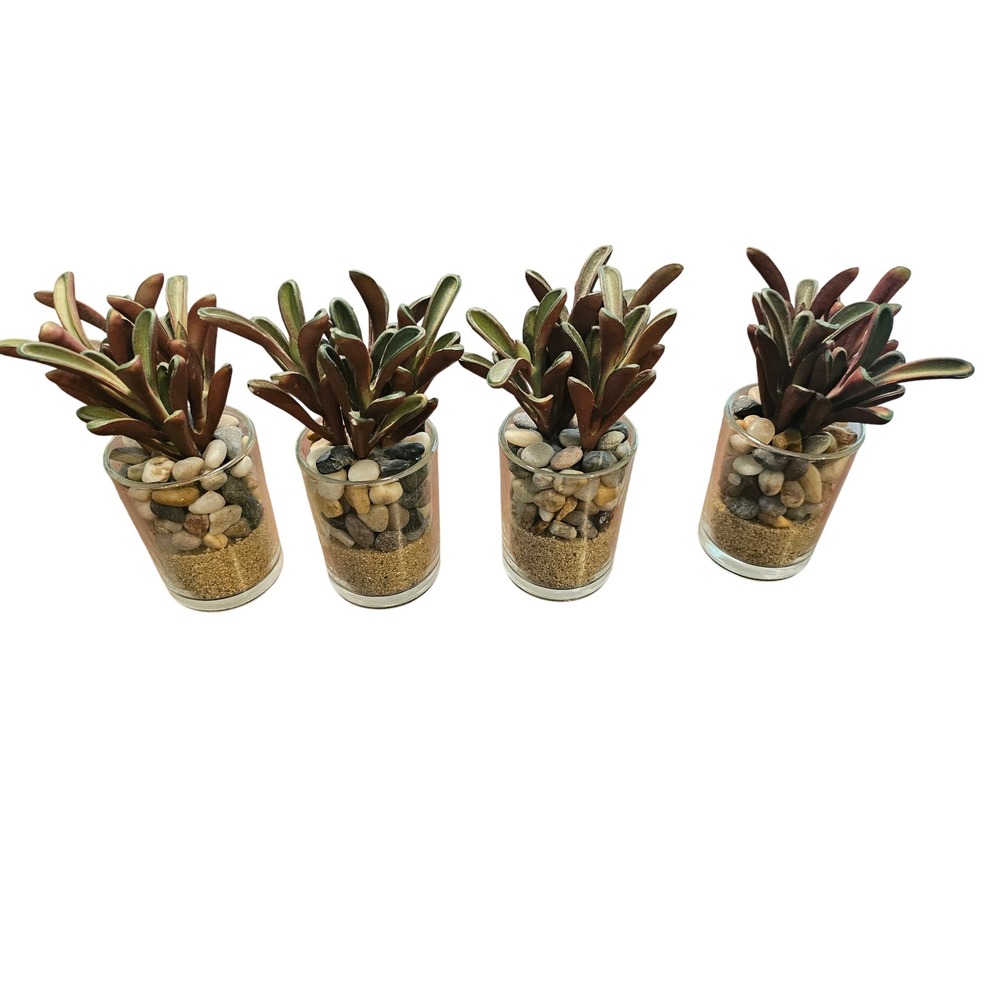 Succulent In Glass Home Decor Set of 4 Green Red Artificial Plants